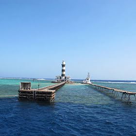 Best of the Red Sea: Daedalus – Rocky Island – Zabargad - St. Johns - Elphinstone